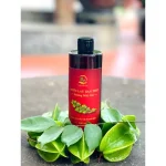 Nước Lau Ban Thờ Hương Mùi Già 500ml - Tẩy Uế, Khử Mùi, Làm Sạch Bóng Bề Mặt Từ Enzyme Sinh Học - Ảnh 3