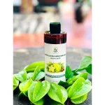 Nước Lau Đa Năng Sinh Học Thảo Mộc An Hương Bưởi Tự Nhiên 500ml - Sạch Bong Bề Mặt, Khử Mùi Hiệu Quả - Ảnh 3